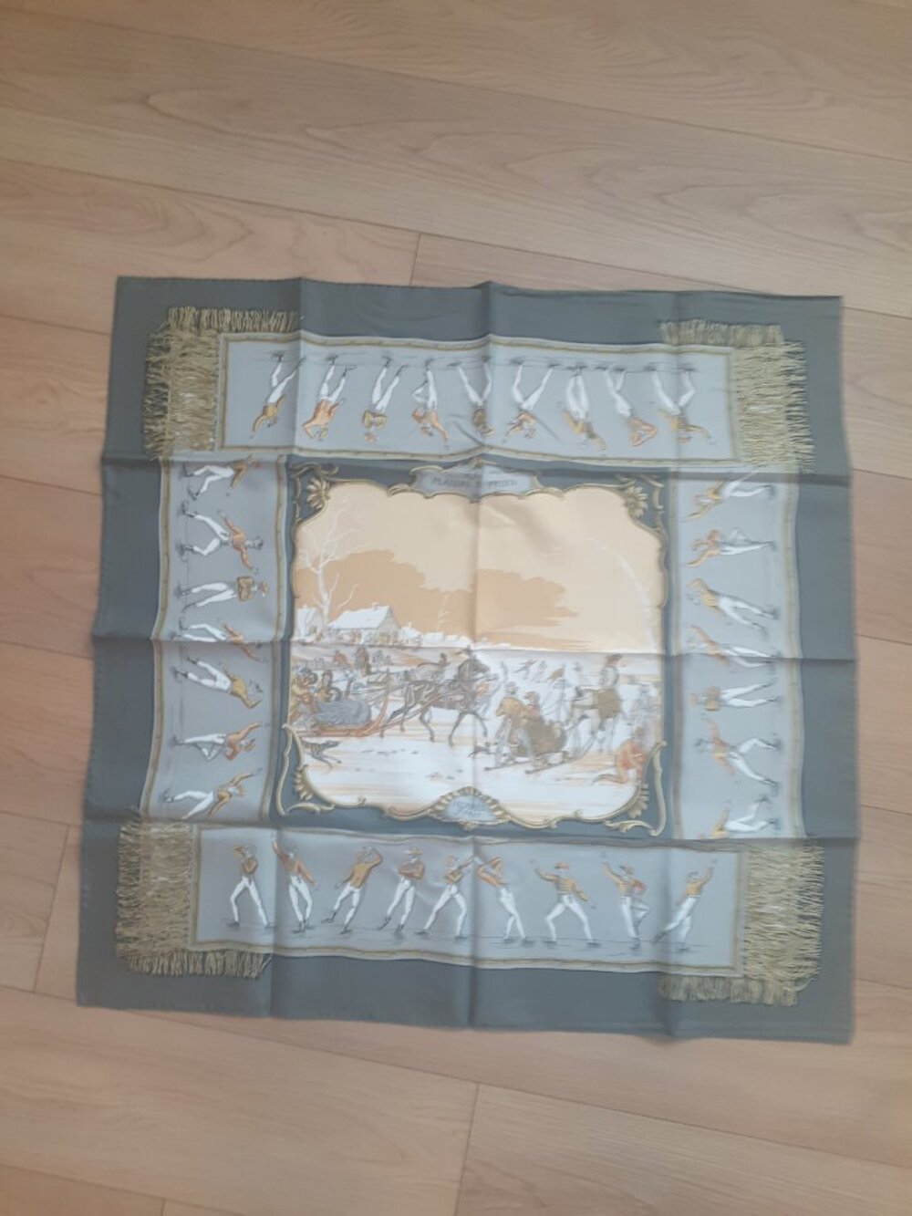 Hermes Plaisirs du Froid Silk Scarf